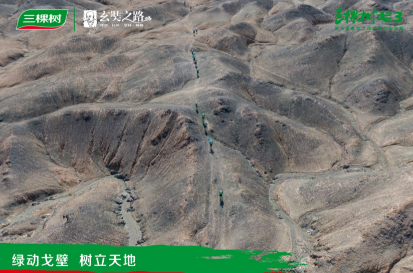 16007727117706923PfY.png 4.png