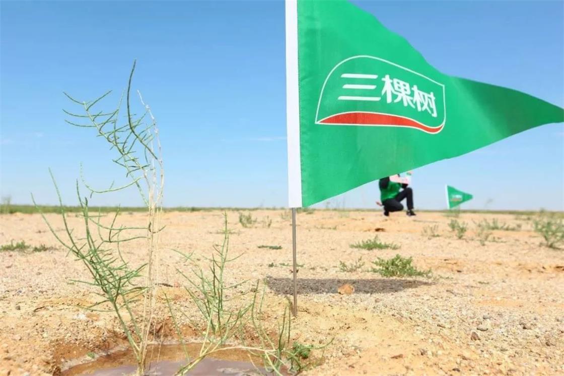 1669688923477920MAkD.jpg 图片1.jpg